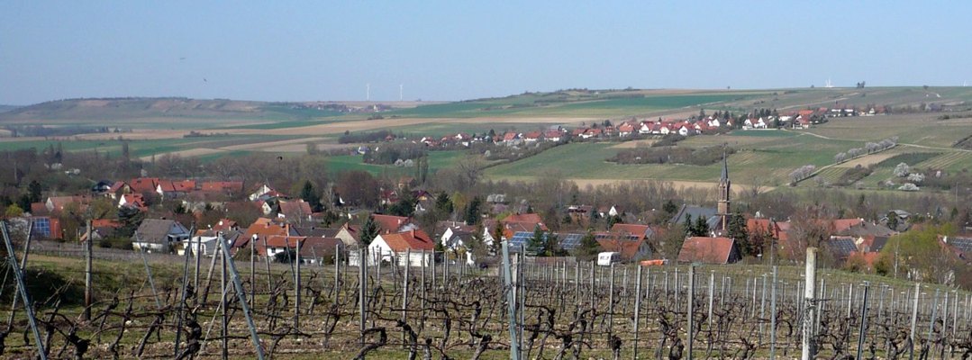 HarxheimFrühjahr2012a
