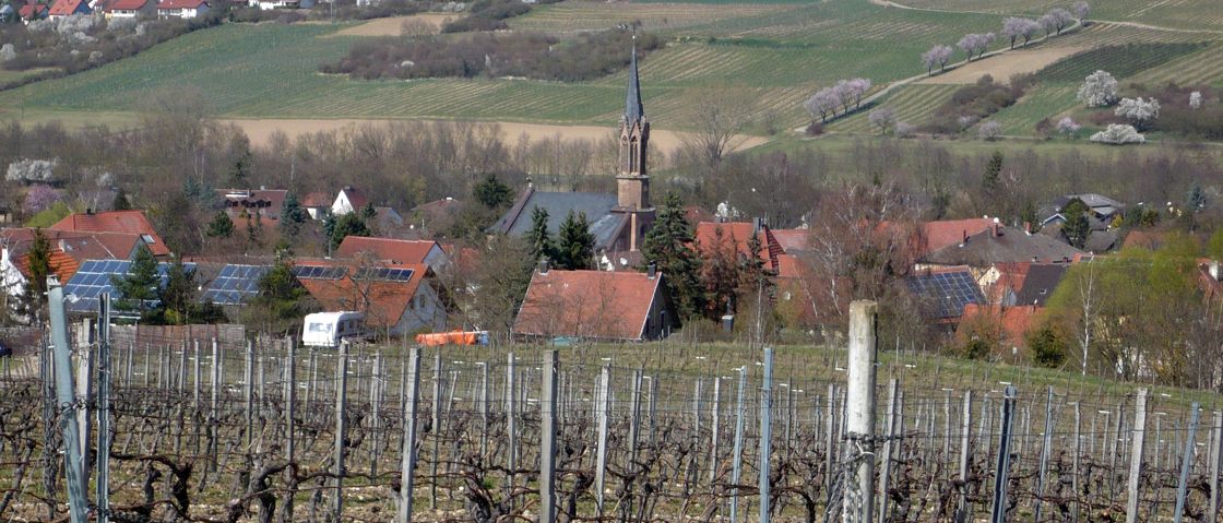 HarxheimFrühjahr2012b