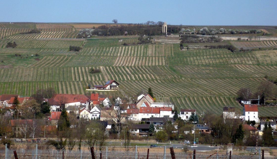 NiefernheimFrühjahr2012b