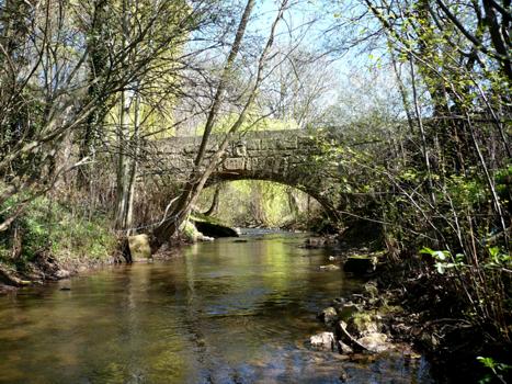Niefernheim_Brücke_Apr12