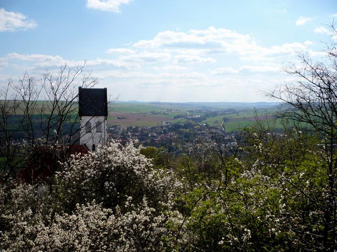 ZellViolental_Apr12_500