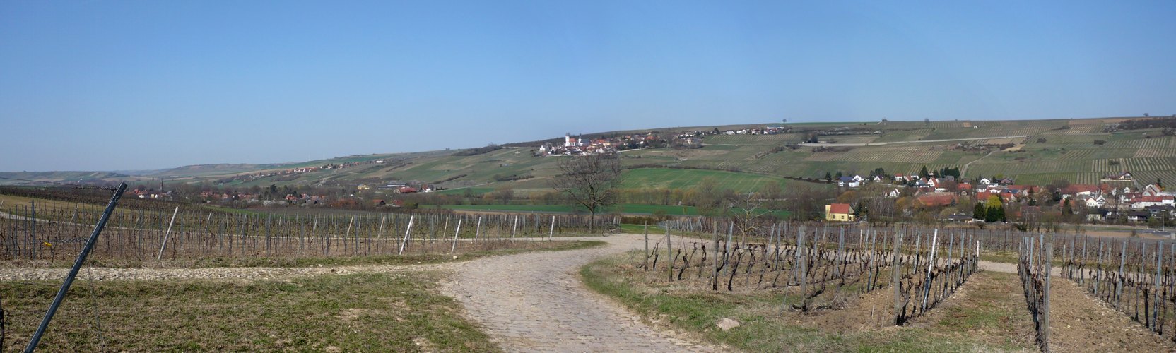 ZellertalPanoramaFrühjahr2012